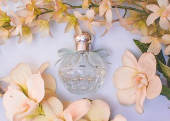 Need Beauty Products? Fragrance Direct Has You Covered
