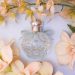 Need Beauty Products? Fragrance Direct Has You Covered