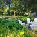 Enjoy your garden! Make your exterior more comfortable with B&Q!