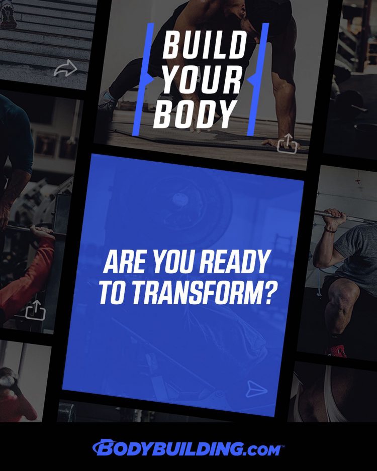 You wanna work on your Gains? Here we present you