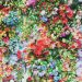 Five Perfect Flowers to Give Away on Any Occasion, by Serenata Flowers