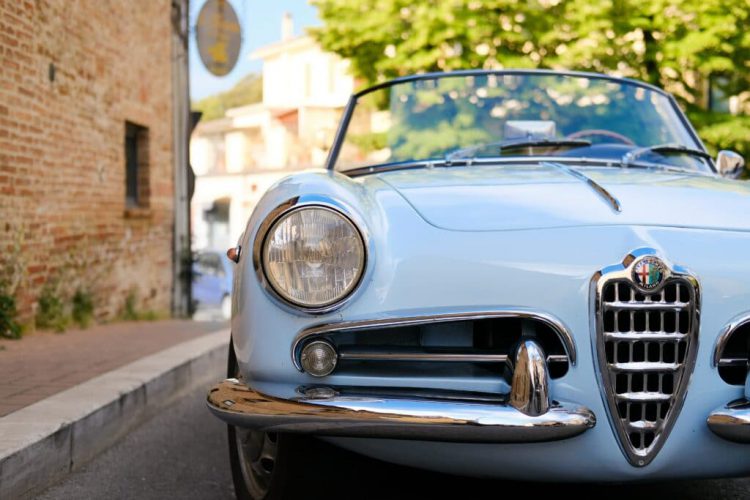 Thinking of Renewing Your Car? Check Out These Recommendations