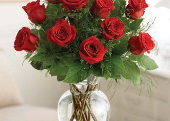 Luxury Dozen Roses Bouquet at