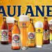 Beer, if drank with moderation, softens the temper, cheers the spirit and promotes health. Discovering Paulaner beer at