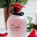 What is Dolce Gabbana famous for? –