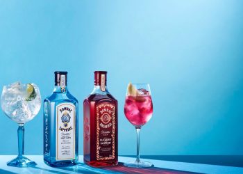 Shop Gordon’s tropical gin | Whitley neill | Bombay sapphire gin at