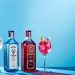 Shop Gordon’s tropical gin | Whitley neill | Bombay sapphire gin at