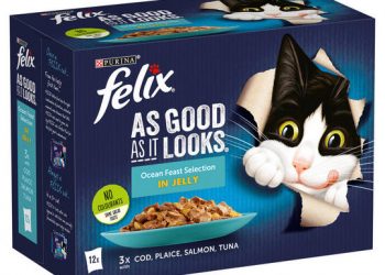 Take mealtime to the next level with one-of-a-kind wet cat foods –