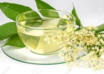 I am in no way interested in immortality, but only in the taste of tea –