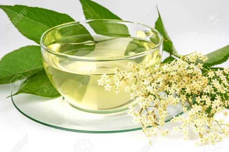 I am in no way interested in immortality, but only in the taste of tea –