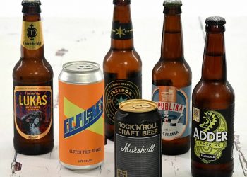 Give me a woman who loves beer and I will conquer the world –