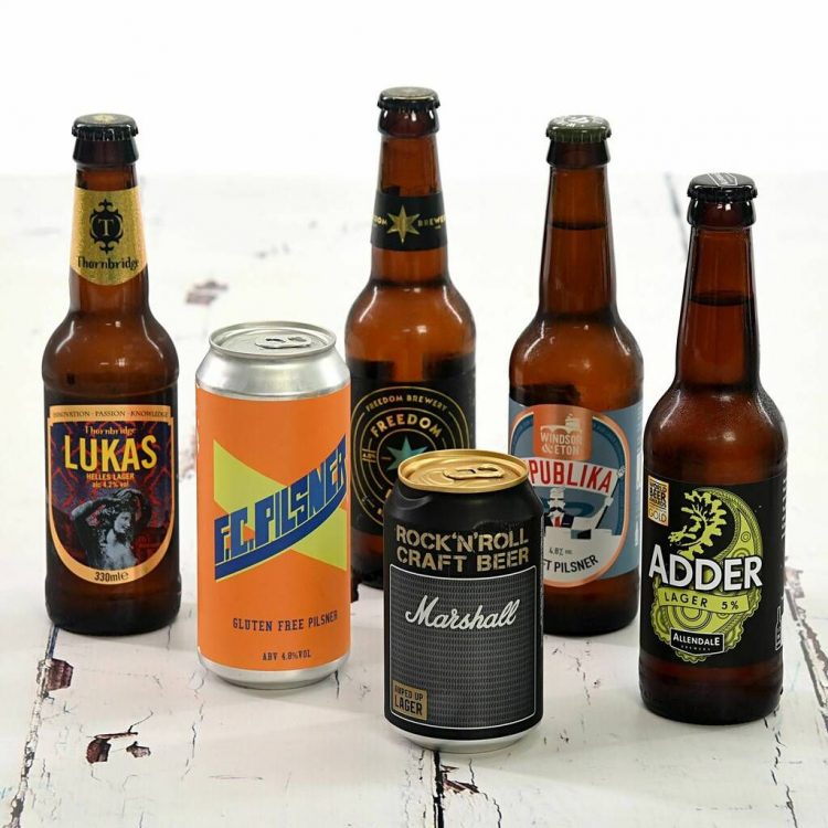 Give me a woman who loves beer and I will conquer the world –