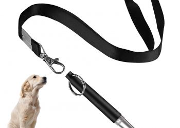 Dogs do speak, but only to those who know how to listen –