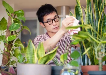 There is a reason why I have a lot of plants growing inside of my home –