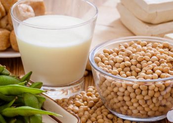Is soy protein isolate good for bodybuilding? –