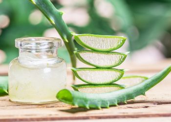 In a world full of roses, Be someone’s Aloe Vera having 101 quantities of cure –