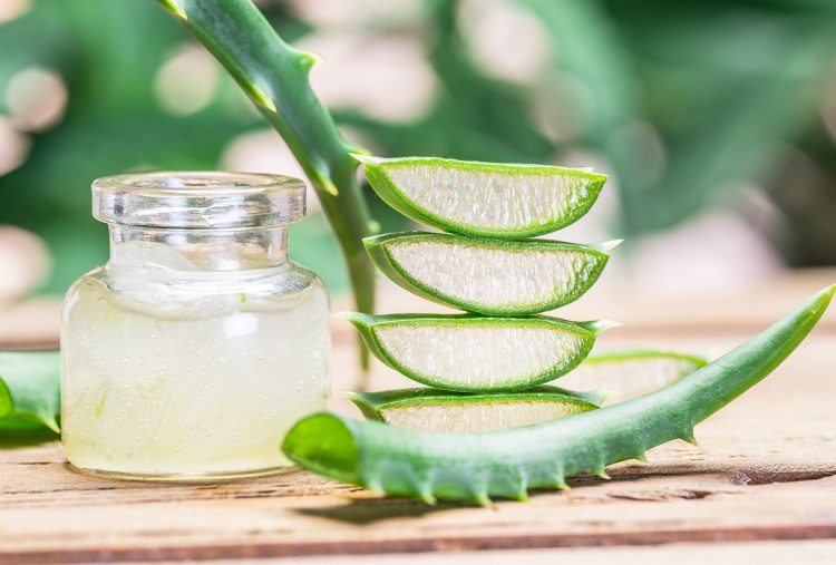 In a world full of roses, Be someone’s Aloe Vera having 101 quantities of cure –