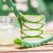 In a world full of roses, Be someone’s Aloe Vera having 101 quantities of cure –