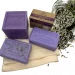 Soap and water and common sense are the best disinfectants –
