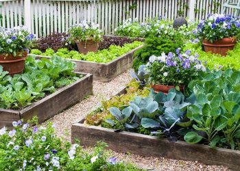 Plants are more courageous than almost all human beings –