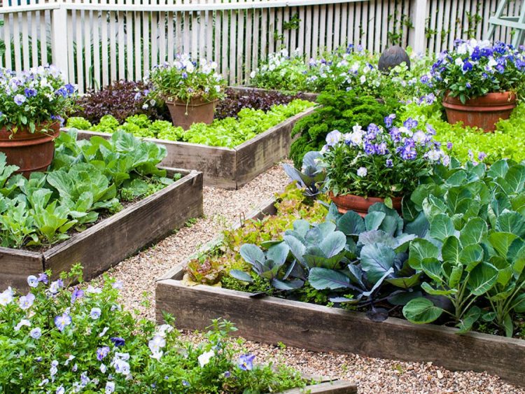 Plants are more courageous than almost all human beings –