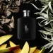 You are never fully dressed without perfume –