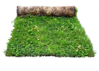 Wildflowers can improve soil health, prevent erosion, improve water quality, increase yields and enhance forage conditions for livestock