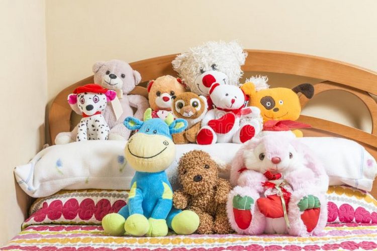Toys, like play itself, serve multiple purposes in both humans and animals. They provide entertainment while fulfilling an educational role