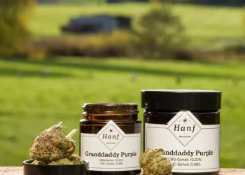 CBD reduces depression and anxiety by interacting with the serotonin receptors in our brain