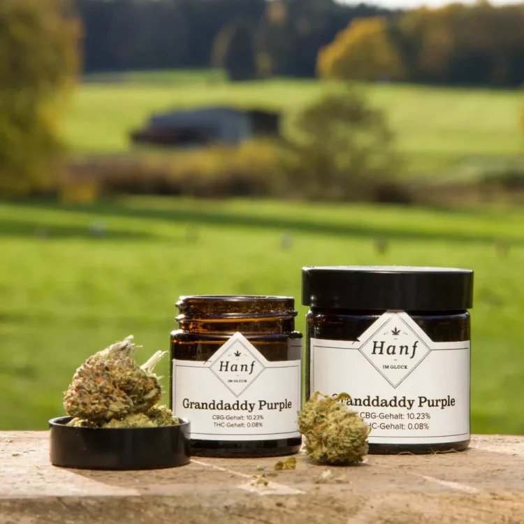 CBD reduces depression and anxiety by interacting with the serotonin receptors in our brain