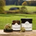 CBD reduces depression and anxiety by interacting with the serotonin receptors in our brain