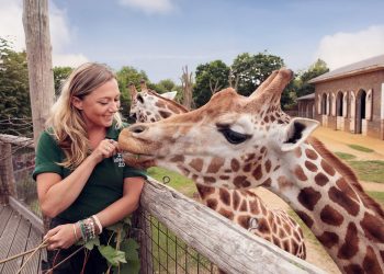 Zoos are places where wild animals are kept for public display