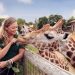 Zoos are places where wild animals are kept for public display