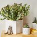 Indoor gardening relieves stress, boosts creativity, productivity, and focus, and promotes recovery