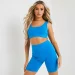 What are the different types of crop tops called?