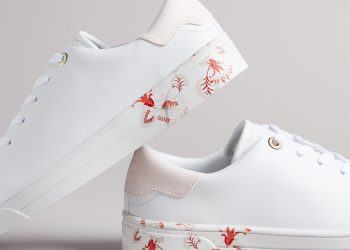What are the features of a shoe?