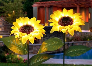 What are the benefits of solar powered lights?