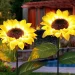What are the benefits of solar powered lights?