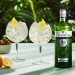 Interesting uses and benefits of gin that will surprise you