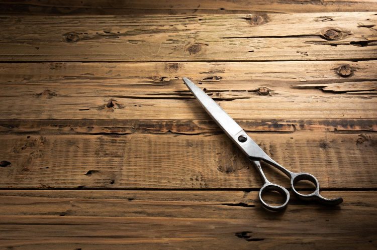 Scissors helps to build hand strength, develop hand-eye coordination, improve bilateral coordination, and improve attention to tasks