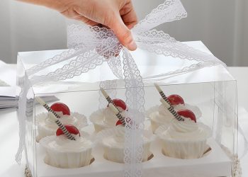 Different Types of Cupcake Boxes