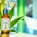 In what ways might CBD oil benefit the user?