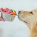 What are the benefits of wet food for dogs?