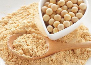 What Are the Benefits of Soy Protein Isolate?