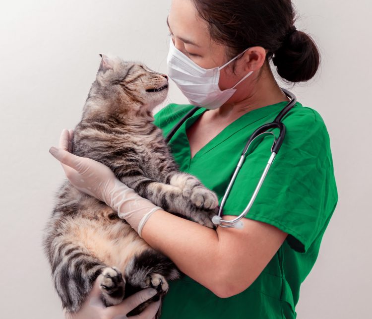 What are the advantages of taking chondroitin and glucosamine together?