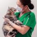 What are the advantages of taking chondroitin and glucosamine together?