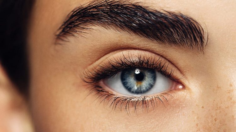 What is eye primer and how do you use it?