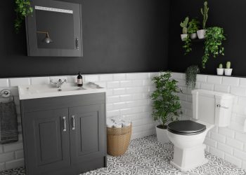 What is the importance of toilets?