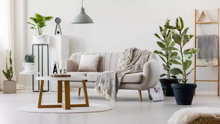 How to Decorate Your Home on a Budget