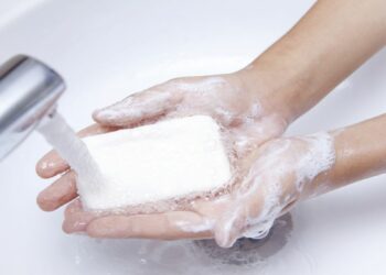 Wild Natural Deodorant and a Variety of Natural Soap Bars